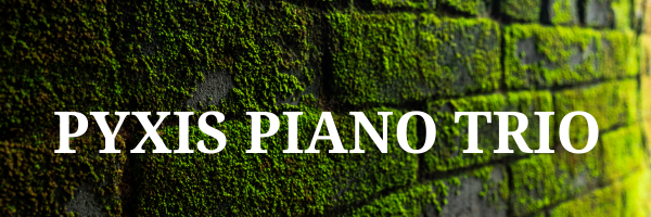 Pyxis Piano Quartet